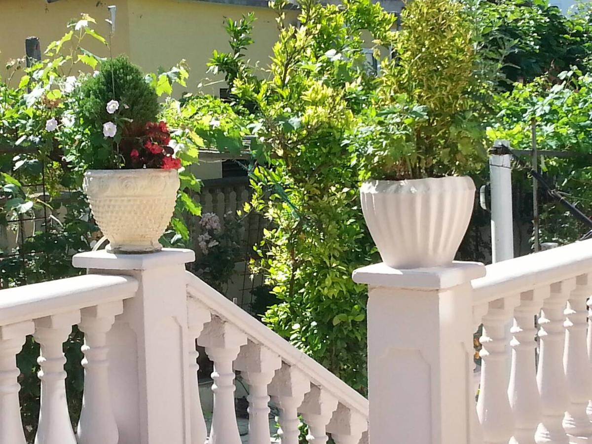 Azure Adriatic Apartman Kotor Kültér fotó