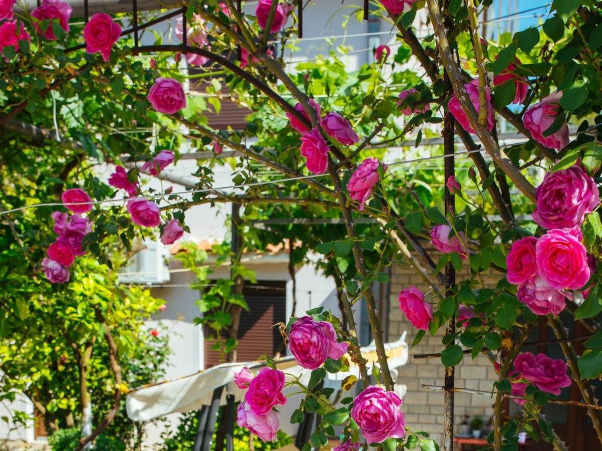 Azure Adriatic Apartman Kotor Kültér fotó